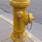 fire hydrant